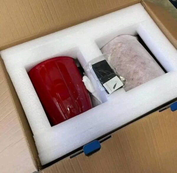 DS18 Speakers for CanAm - Image 4